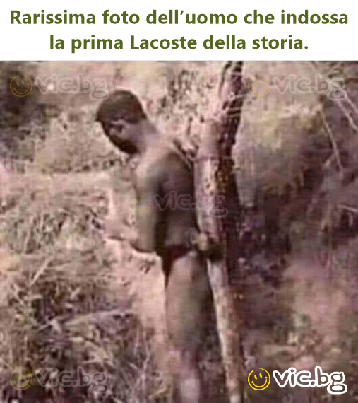 Rarissima foto dell’uomo che indossa la prima Lacoste della storia.