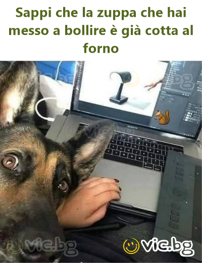 Sappi che la zuppa che hai messo a bollire è già cotta al forno