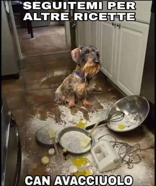 Seguitemi per altre ricette  can avacciuolo