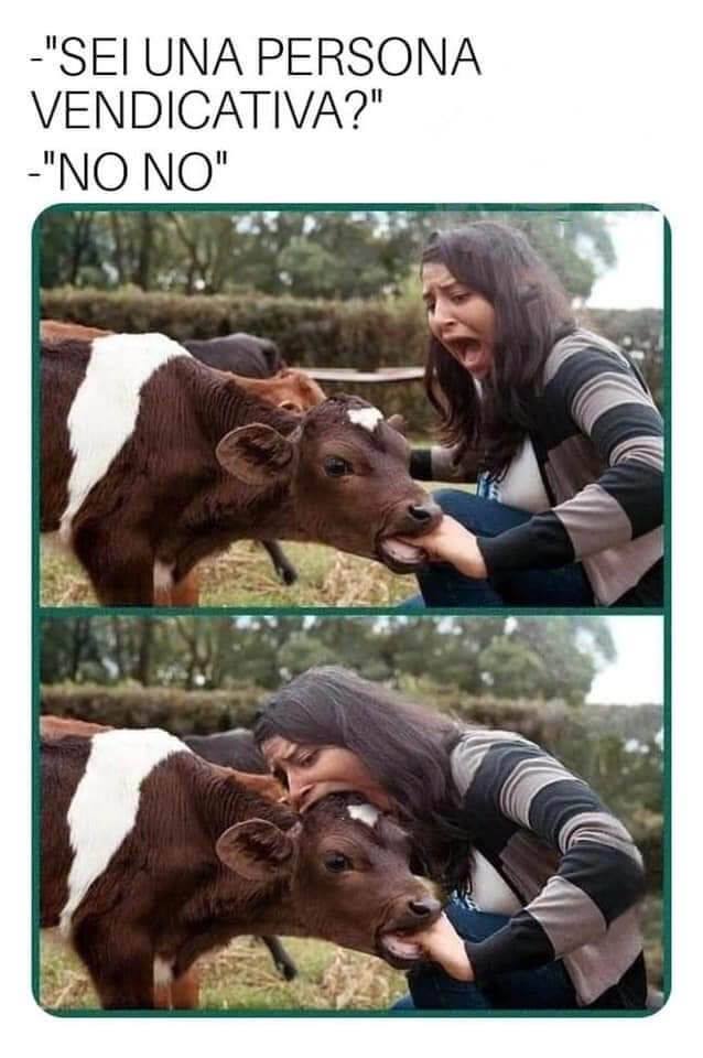 - "Sei una persona vendicativa? - "No no"