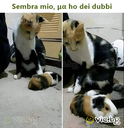 Sembra mio, μα ho dei dubbi