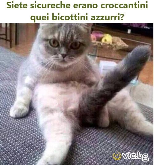 Siete sicureche erano croccantini quei bicottini azzurri?