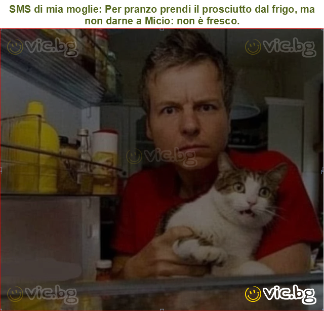SMS di mia moglie: Per pranzo prendi il prosciutto dal frigo, ma non darne a Micio: non è fresco.