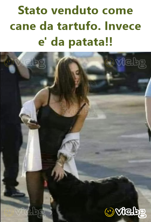 Stato venduto come cane da tartufo. Invece e' da patata!!