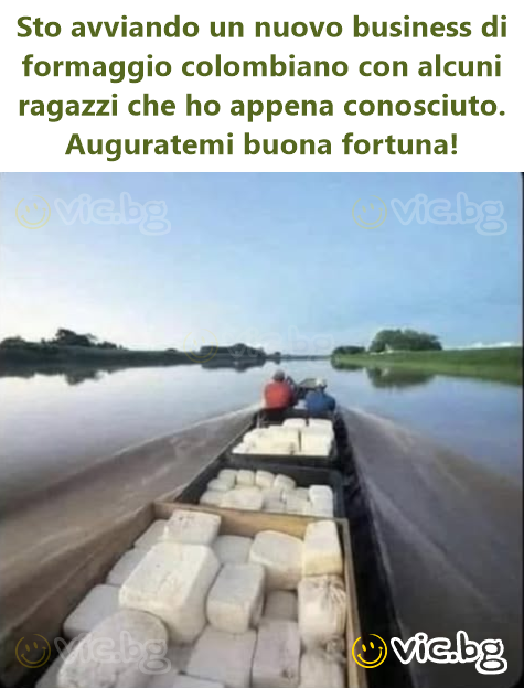 Sto avviando un nuovo business di fоrмаggiо colombiano con alcuni ragazzi che ho appena conosciuto. Auguratemi buona fortuna!