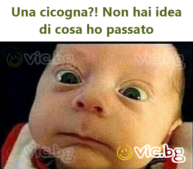 Una cicogna?! Non hai idea di cosa ho passato