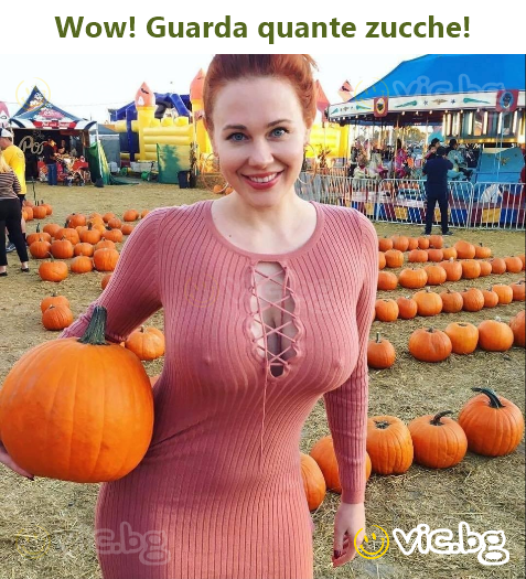 Wow! Guarda quante zucche!