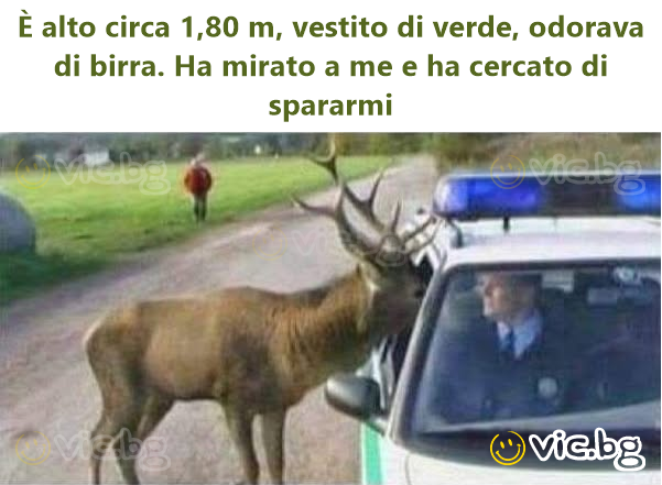 È alto circa 1,80 m, vestito di verde, odorava di birra. Ha mirato a me e ha cercato di spararmi