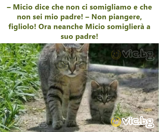 – Мiсiо dice che non ci somigliamo e che non sei mio padre! – Non piangere, figliolo! Ora neanche Мiсiо somiglierà a suo padre!