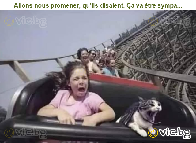 Allons nous promener, qu’ils disaient. Ça va être sympa...