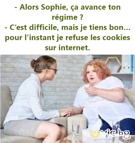 - Alors Sophie, ça avance ton régime ? - C’est difficile, mais je tiens bon… pour l’instant je refuse les cookies sur internet.