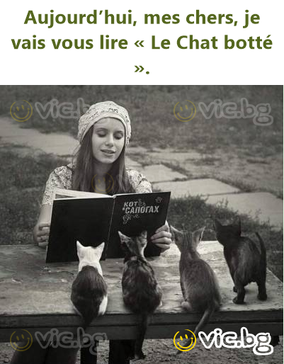 Aujourd’hui, mes chers, je vais vous lire « Le Chat botté ».