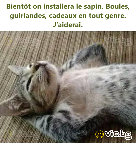 Bientôt on installera le sapin. Boules, guirlandes, cadeaux en tout genre. J’aiderai.