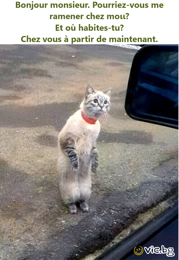 Bonjour monsieur. Pourriez-vous me ramener chez mοιι? Et où habites-tu? Chez vous à partir de maintenant.