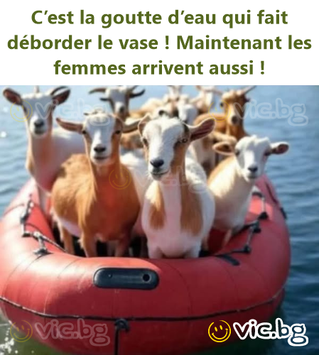 C’est la goutte d’eau qui fait déborder le vase ! Maintenant les femmes arrivent aussi !
