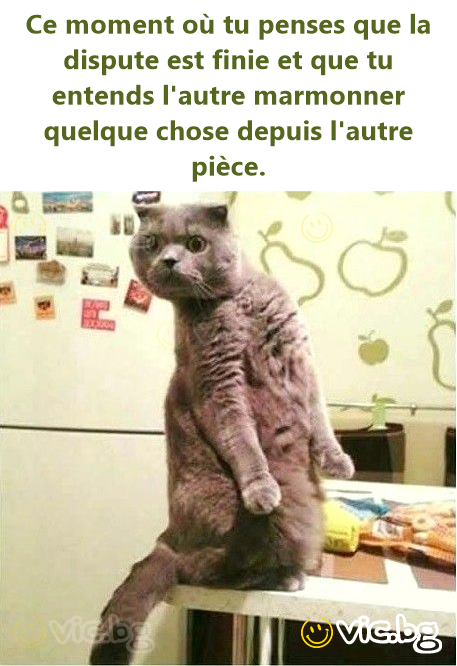 Ce moment où tu penses que la dispute est finie et que tu entends l'autre marmonner quelque chose depuis l'autre pièce.