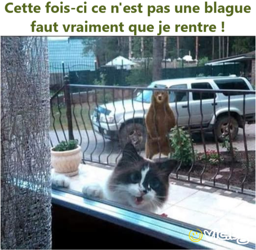 Cette fois-ci ce n'est pas une blague faut vraiment que je rentre !