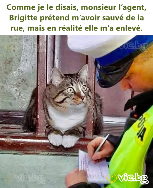 Comme je le disais, monsieur l’agent, Brigitte prétend m’avoir sauvé de la rue, mais en réalité elle m’a enlevé.