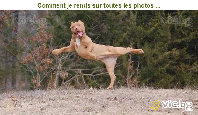 Comment je rends sur toutes les photos ...