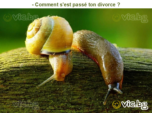 - Comment s'est passé ton divorce ?