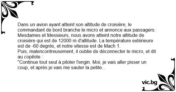 Dans Un Avion Ayant Atteint Son Altitude De Croisiere Le Commandant De Bord Branche Le Micro Et Annonce Aux Passagers