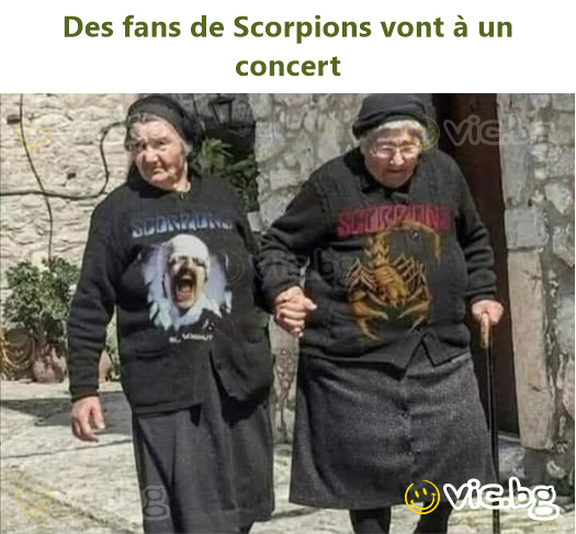 Des fans de Scorpions vont à un concert