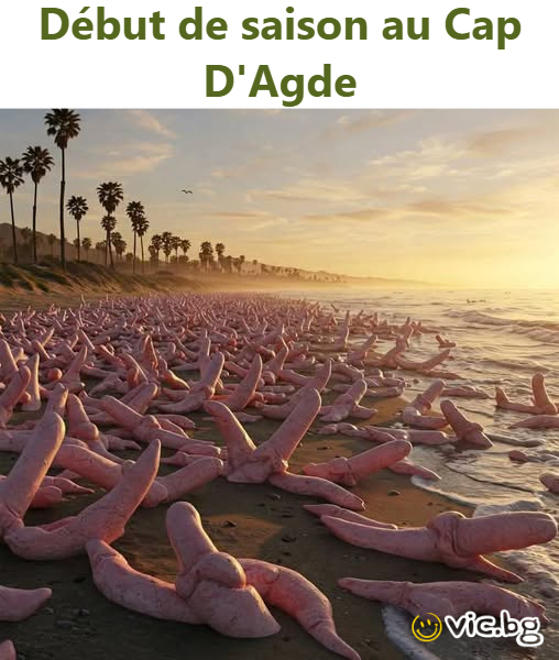 Début de saison au Cap D'Agde