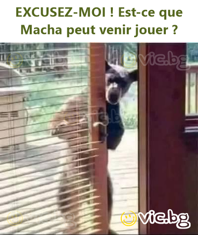 EXCUSEZ-MOI ! Est-ce que Macha peut venir jouer ?
