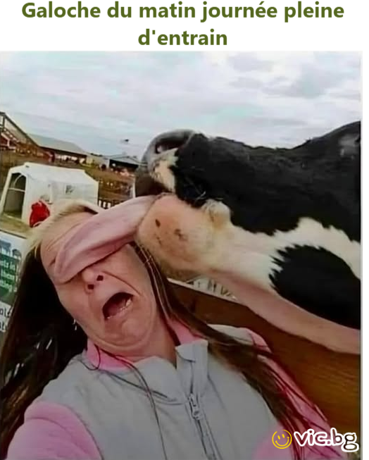 Galoche du matin journée pleine d'entrain