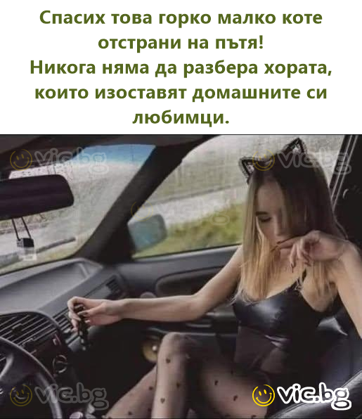 Jai recueilli cette pauvre petite сhатте sur Ie bord de la route ! Je ne comprendrai jamais les personnes qui abandonnes leurs animaux de_compagnie