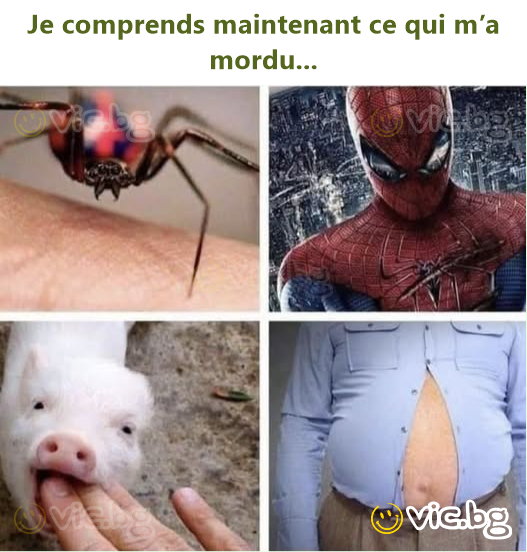 Je comprends maintenant ce qui m’a mordu...