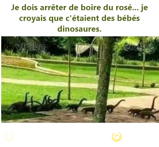 Je dois arrêter de boire du rosé... je croyais que c'étaient des bébés dinosaures.