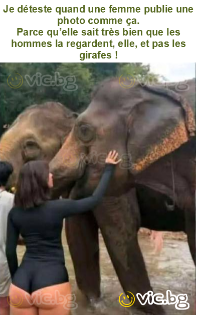Je déteste quand une femme publie une photo comme ça.
Parce qu’elle sait très bien que les hommes la regardent, elle, et pas les girafes !