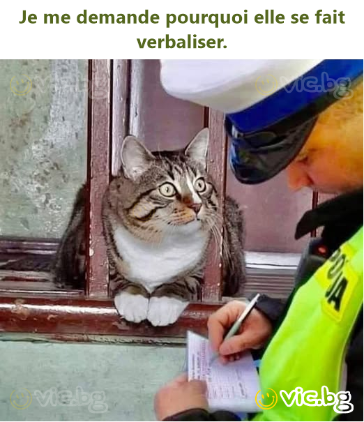 Je me demande pourquoi elle se fait verbaliser.