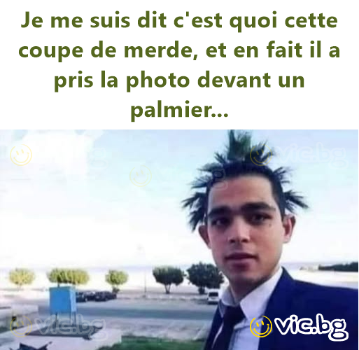 Je me suis dit c'est quoi cette coupe de merde, et en fait il a pris la photo devant un palmier...