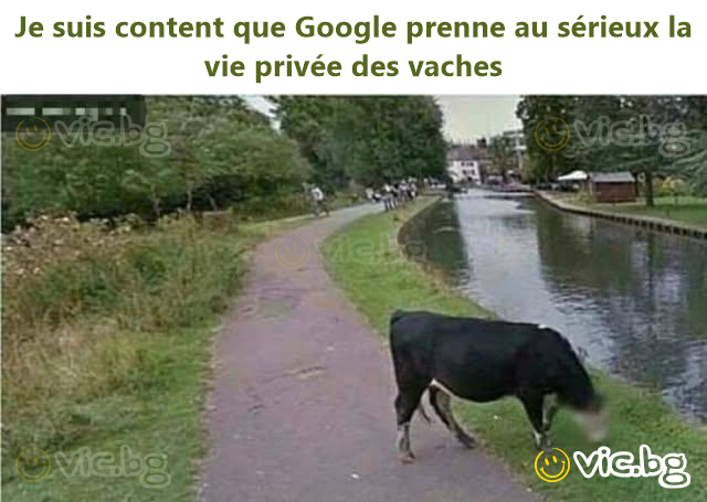 Je suis content que Google prenne au sérieux la vie privée des vaches