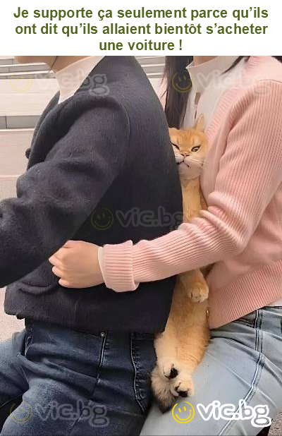 Je supporte ça seulement parce qu’ils ont dit qu’ils allaient bientôt s’acheter une voiture !