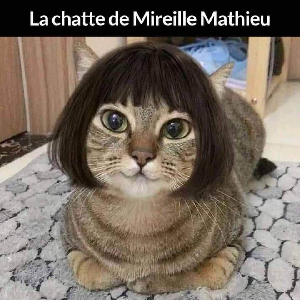 La chatte de Mireille Mathieu