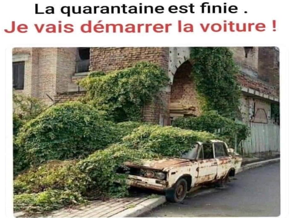 La quarantaine est flnie. Je vais démarrer la voiture !