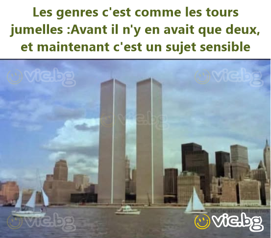Les genres c'est comme les tours jumelles :	Avant il n'y en avait que deux, et maintenant c'est un sujet sensible