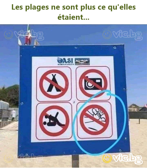 Les plages ne sont plus ce qu'elles étaient...