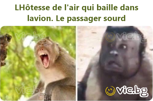LHôtesse de l'air qui baille dans lavion. Le passager sourd