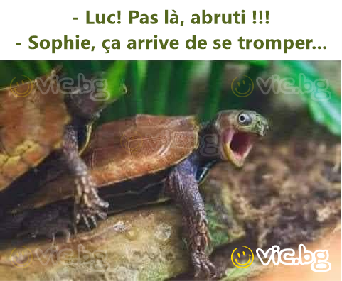 - Luc! Pas là, abruti !!! - Sophie, ça arrive de se tromper...