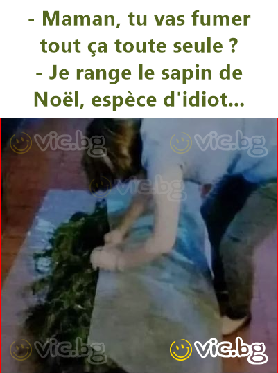 - Maman, tu vas fumer tout ça toute seule ?  - Je range le sapin de Noël, espèce d'idiot...