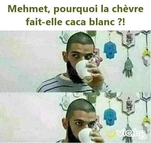 Mehmet, pourquoi la chèvre fait-elle caca blanc ?!