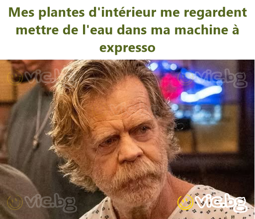 Mes plantes d'intérieur me regardent mettre de l'eau dans ma machine à expresso