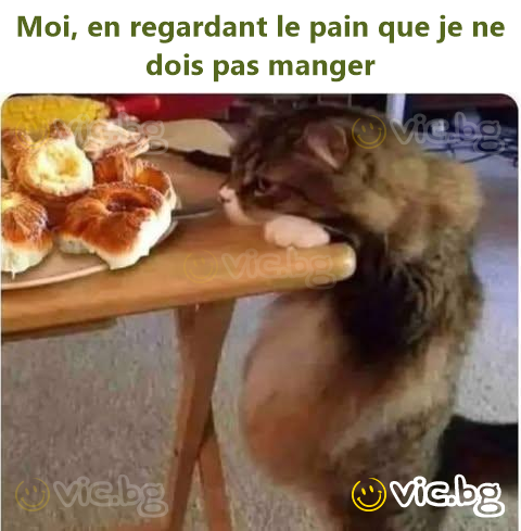 Moi, en regardant le pain que je ne dois pas manger