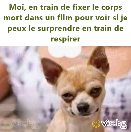 Moi, en train de fixer le corps mort dans un film pour voir si je peux le surprendre en train de respirer