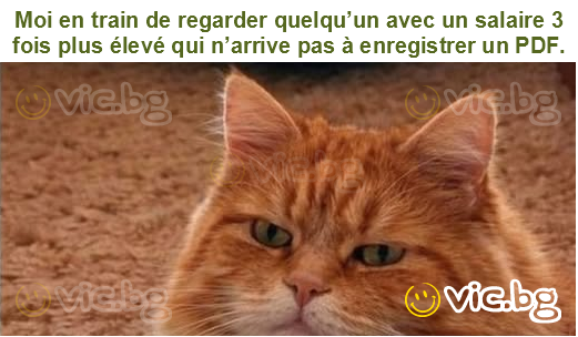 Moi en train de regarder quelqu’un avec un salaire 3 fois plus élevé qui n’arrive pas à enregistrer un PDF.