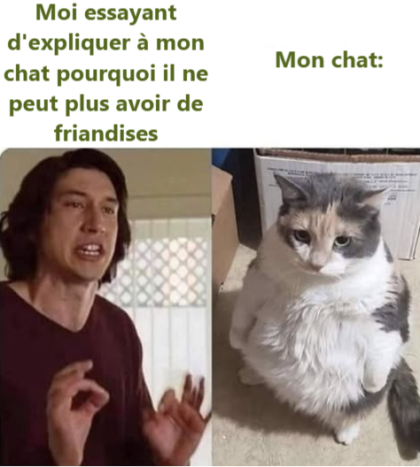 Moi essayant d'expliquer à mon chat pourquoi il ne peut plus avoir de friandises Mon chat: